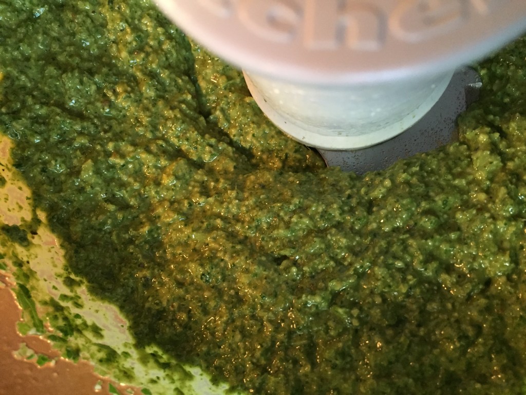 All blended in the food processor... super simple, super delicious, super ageless pesto